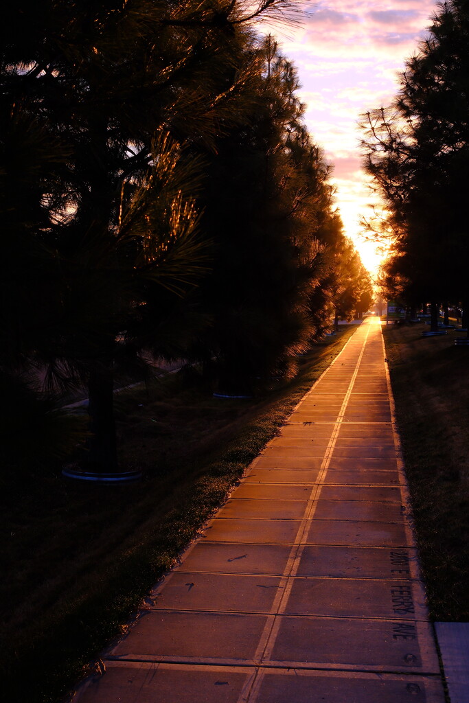Illuminated  by josharp186