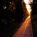 Illuminated 