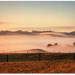 Waves of Fog...