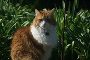 26th Mar 2025 - Billy