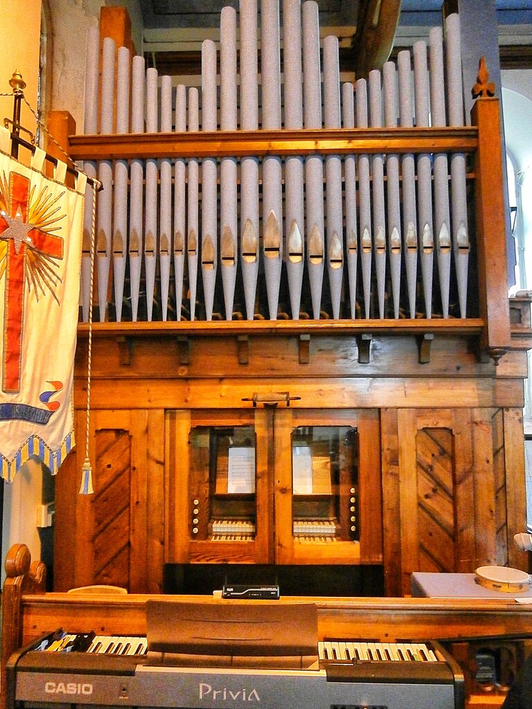 Organ pipes..... by cutekitty