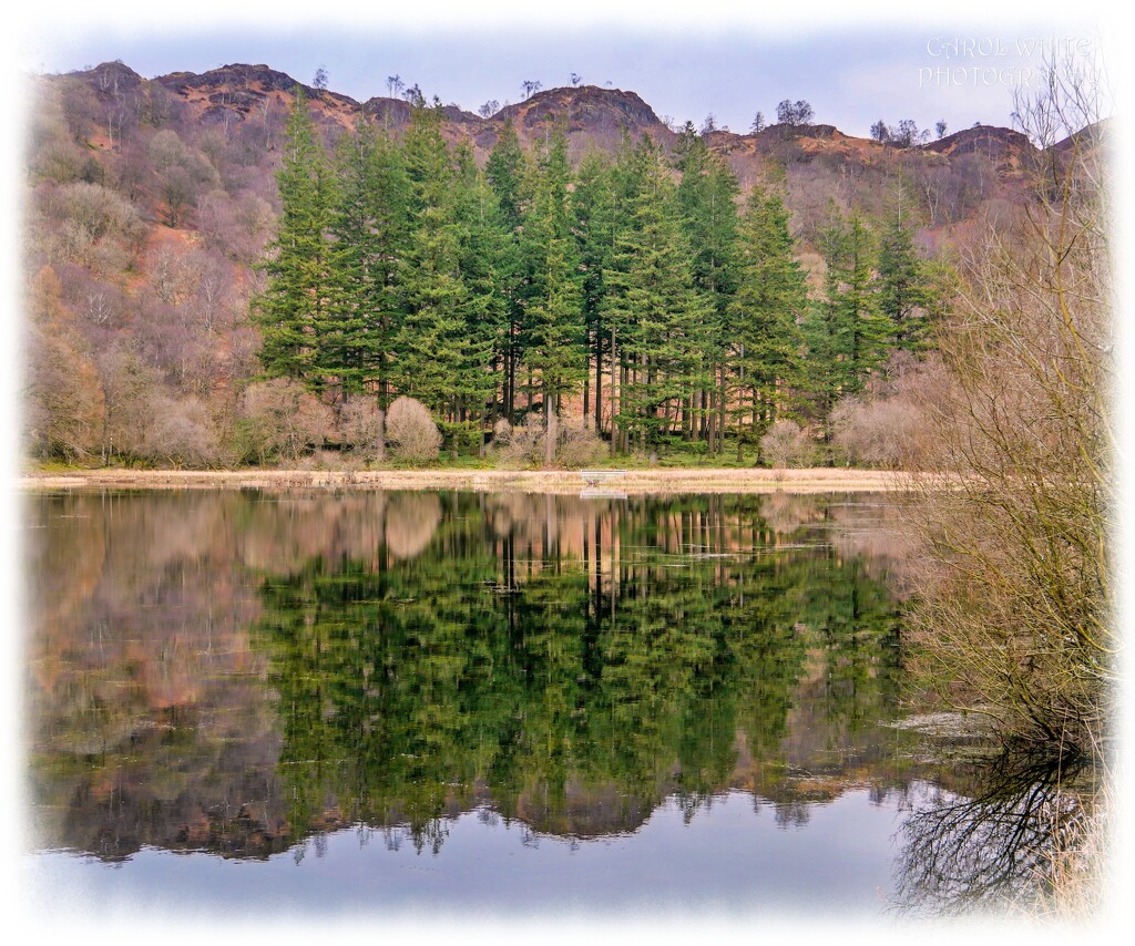 Loch reflections by carolmw