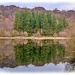Loch reflections