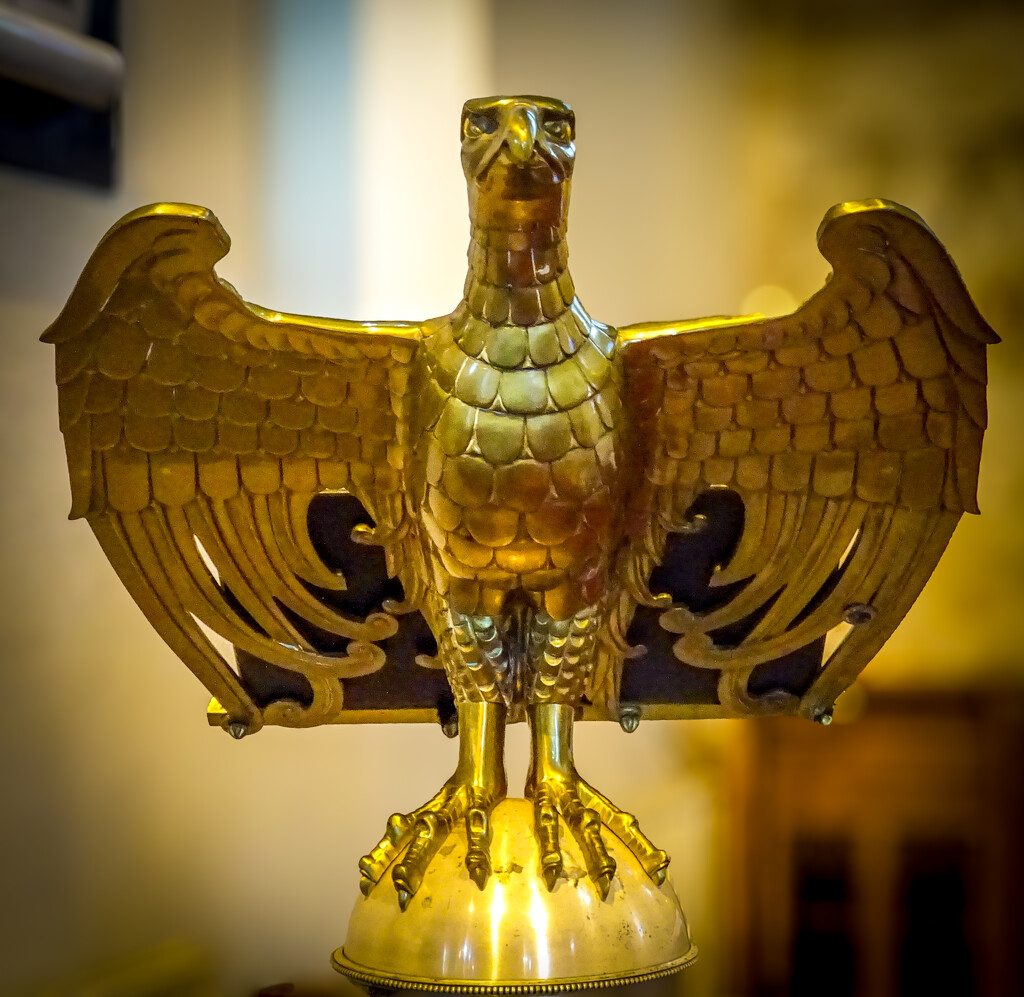 Golden Eagle by swillinbillyflynn
