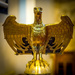 Golden Eagle