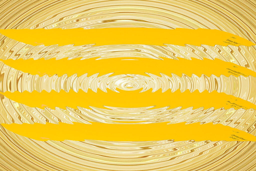 Yellow 4 by k9photo