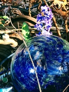 26th Mar 2025 - Hyacinth