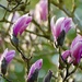 Bursting into Life