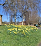 26th Mar 2025 - IMG_20250326_175404