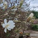 Up The Garden Path 