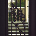 Peekaboo........