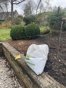 22nd Mar 2025 - Strulch!
