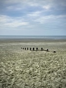25th Mar 2025 - West Wittering