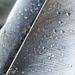 Feather