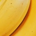 Yellow 26