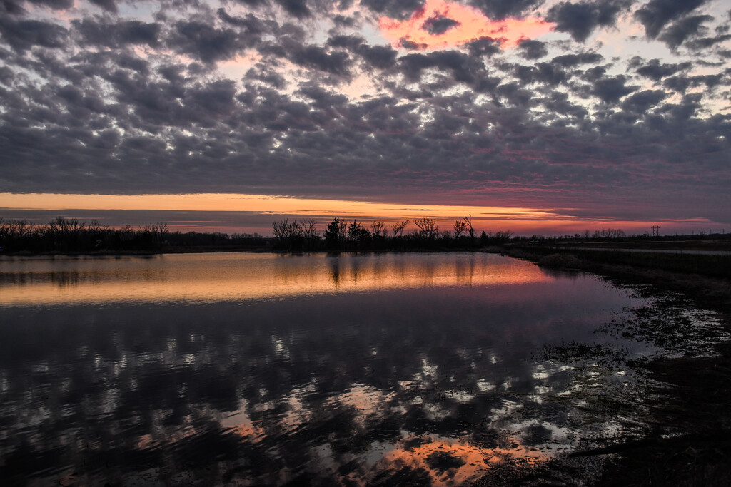 Baker Wetlands 3-26-25 by kareenking