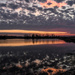 Baker Wetlands 3-26-25