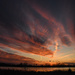 Busy Sky