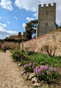 26th Mar 2025 - Spring gardens 