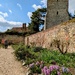 Spring gardens 