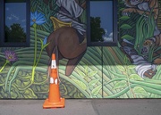27th Mar 2025 - Cone, Just a cone