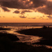 Kariotahi at Sunset-30