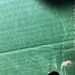 Green Box 