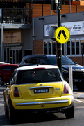 25th Mar 2025 - Yellow
