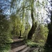 Beside the River Foss