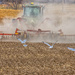 tillage