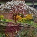 Blossom Tree