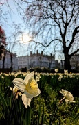 27th Mar 2025 - Back to the park 
