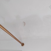 27th Mar 2025 - IMG_20250327_081240