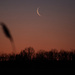 Crescent