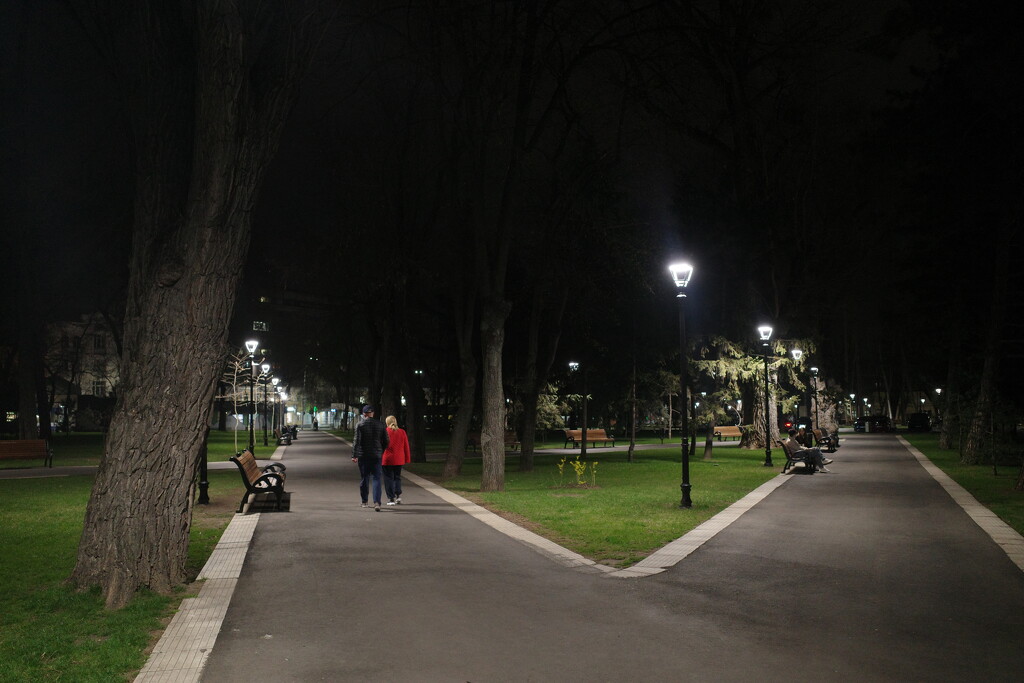 Chisinau night park by vincent24