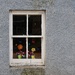 Flowers In The Window