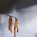 Hanging long.