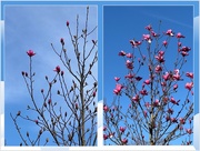 28th Mar 2025 - 
