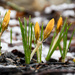 After the snow and rain