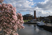24th Mar 2025 - Blossom!