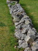 28th Mar 2025 - saw these snakey stones