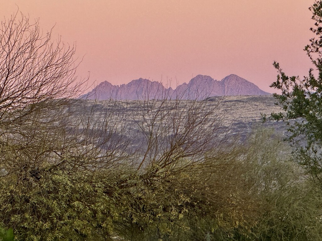 Valley Of The Sun 2025 by mamabec
