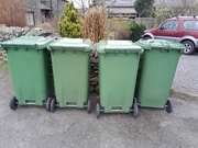 27th Mar 2025 - green bins
