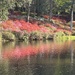 Middleton Place Gardens by congaree