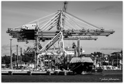 29th Mar 2025 - Heavy Lifters..