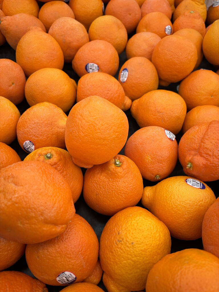 Orange tangelos by kchuk