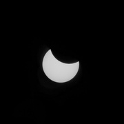 29th Mar 2025 - One in a million...