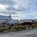 Daffodil Corner by lifeat60degrees
