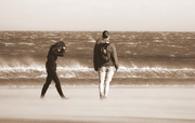 28th Mar 2025 - windy (28th march 2015)