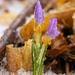 brrr by aecasey